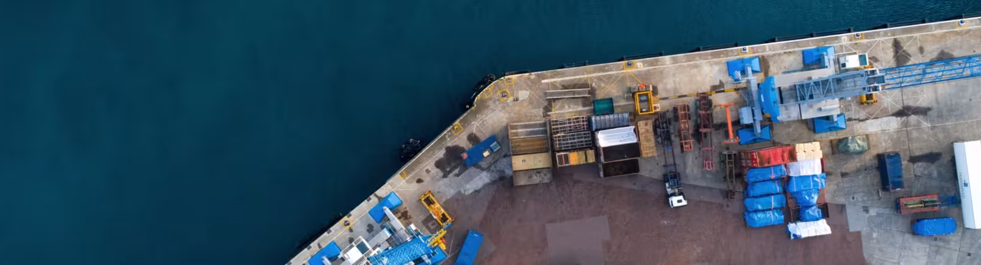 Κλάδοι δραστηριοποίησης